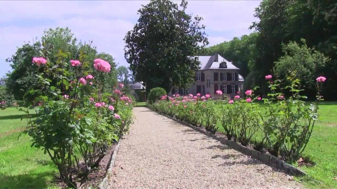 Chateau D'Urtubie Urrugne Ngoại thất bức ảnh